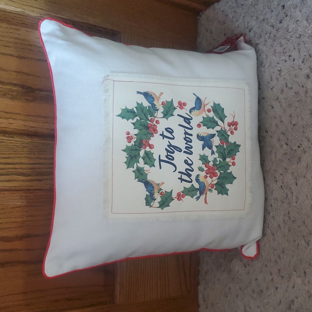 Throw pillow!